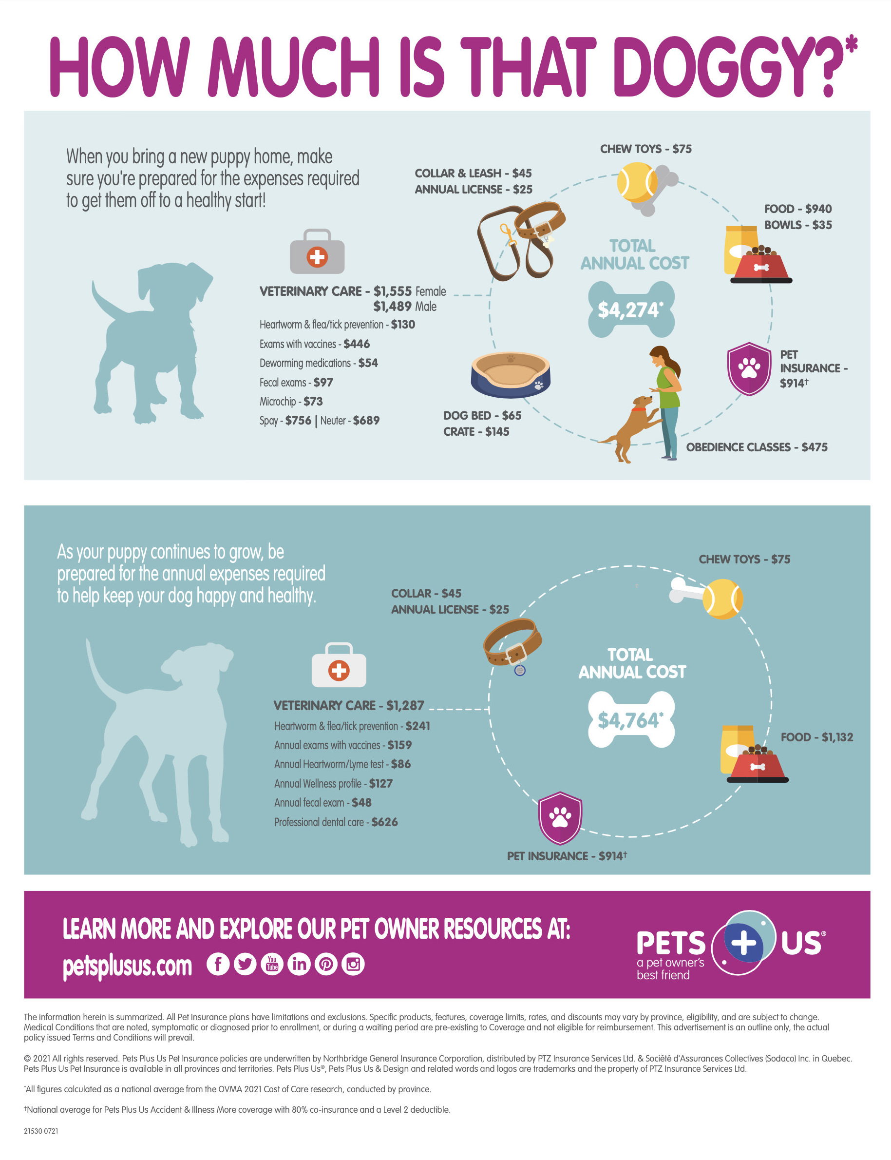 INFOGRAPHIC - How much is that doggy?