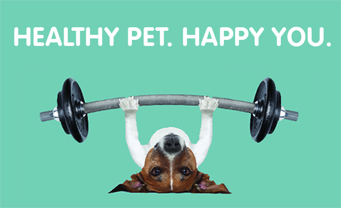 FB Contest New YearsREV (3)