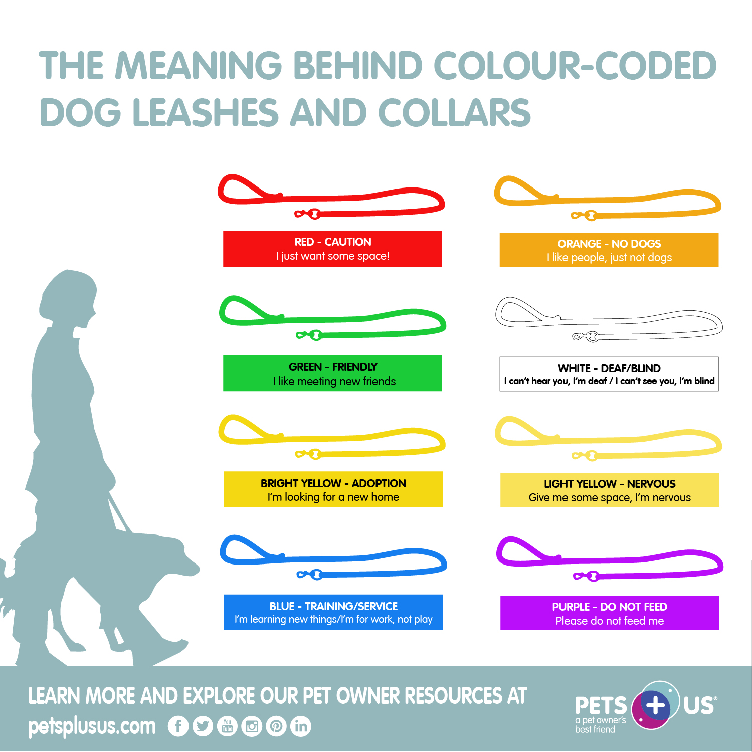colour-coded leashes
