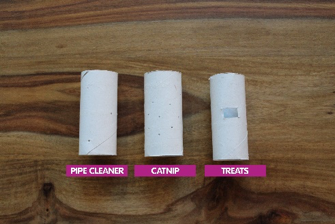 Toilet Paper Roll Examples
