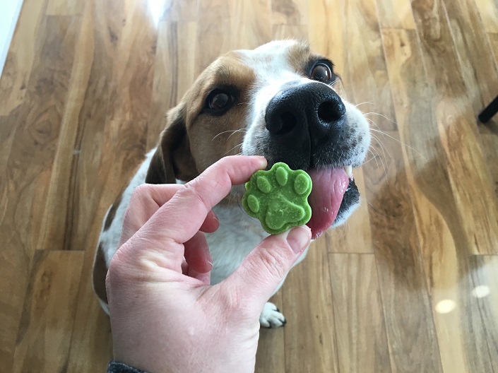 Dog licking frozen treat in pet parent's hand