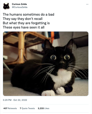 Twitter post reads: The humans sometimes do a bad They say they don't recall But what they are forgetting is These eyes have seen it all