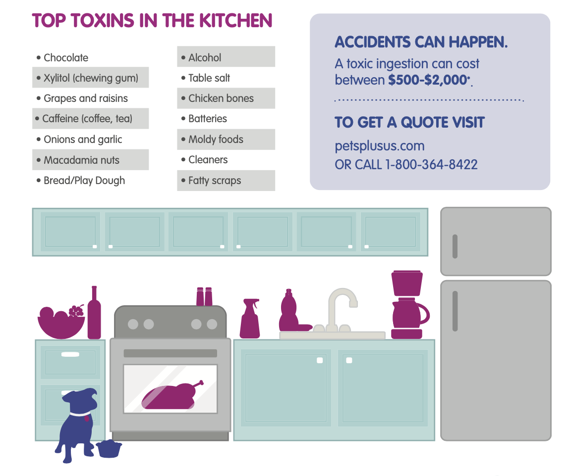 List of toxins located in the kitchen