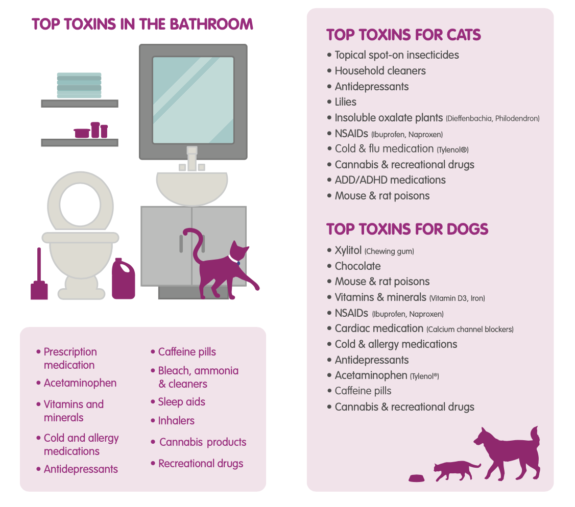 List of pet toxins located in the bathroom