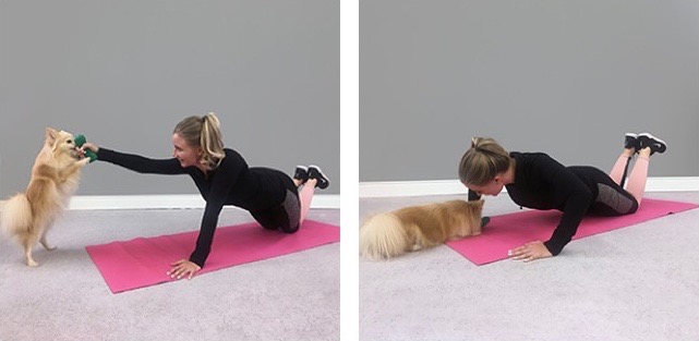 Pet workout with yoga