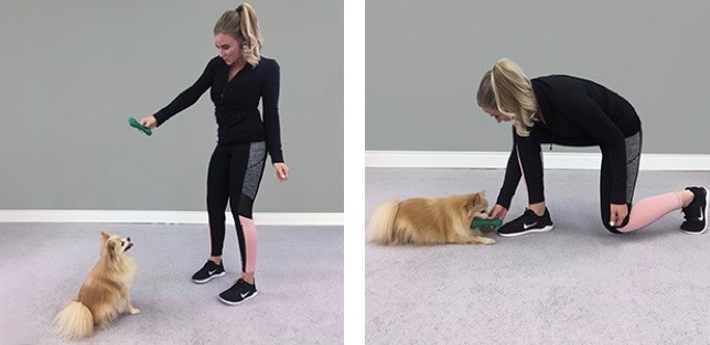 Pet workout - lunges