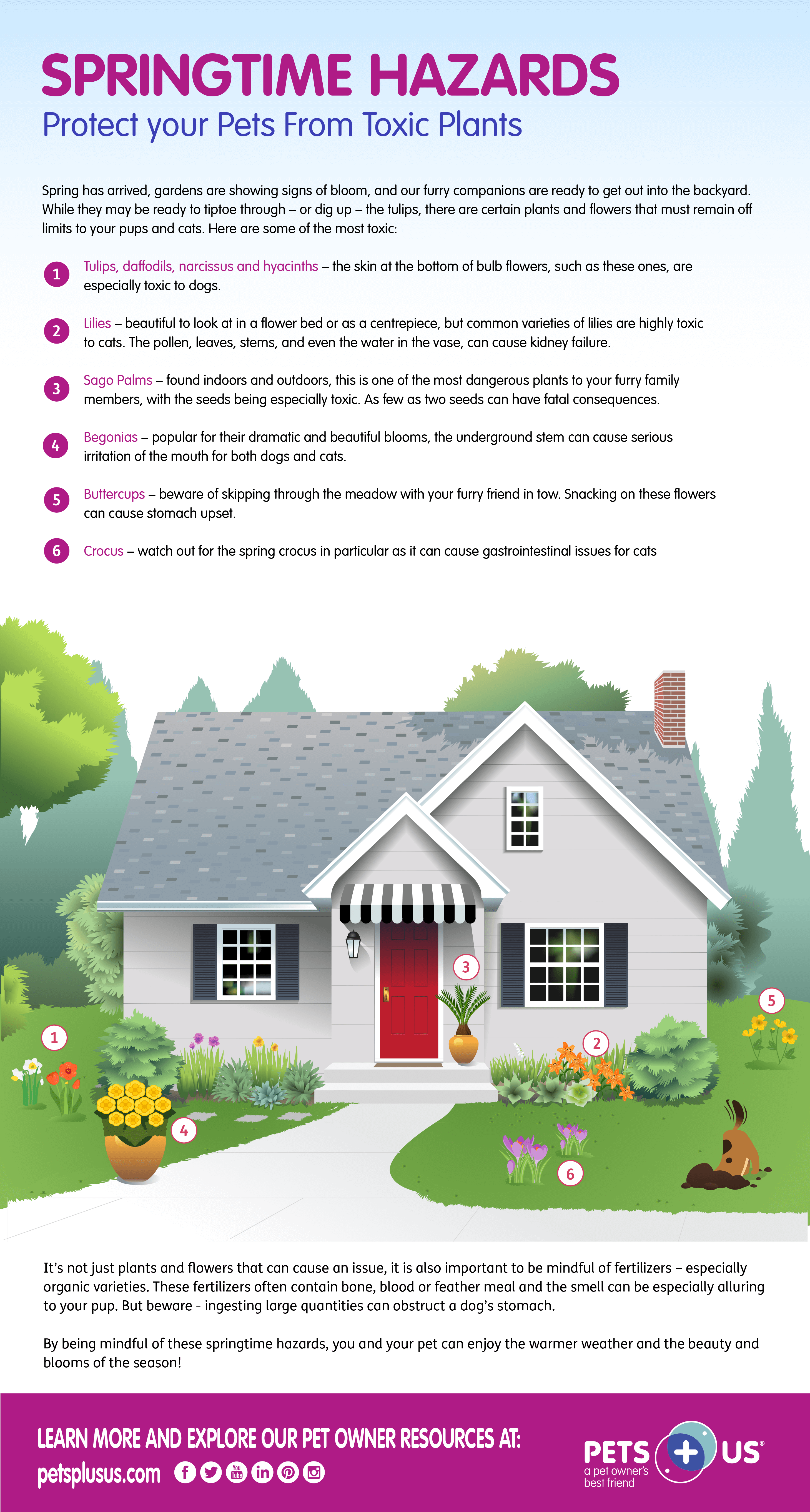 Springtime hazards infographic