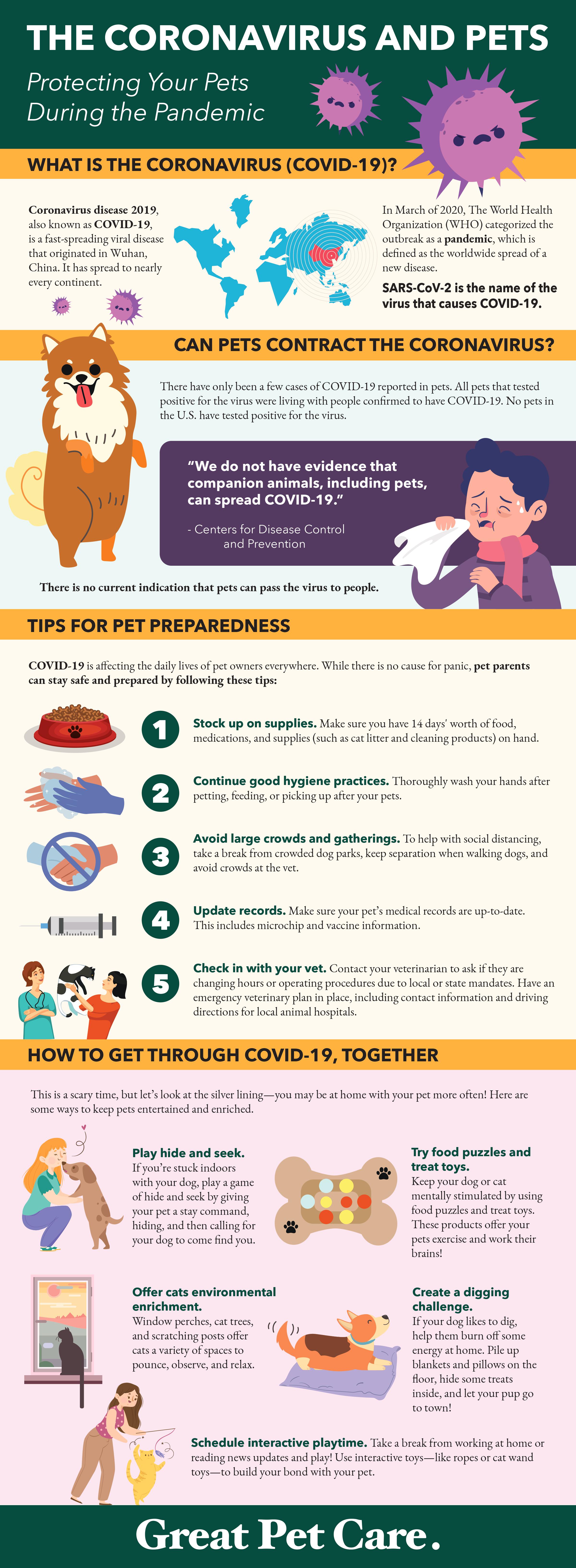 Infographic: coronavirus and pets