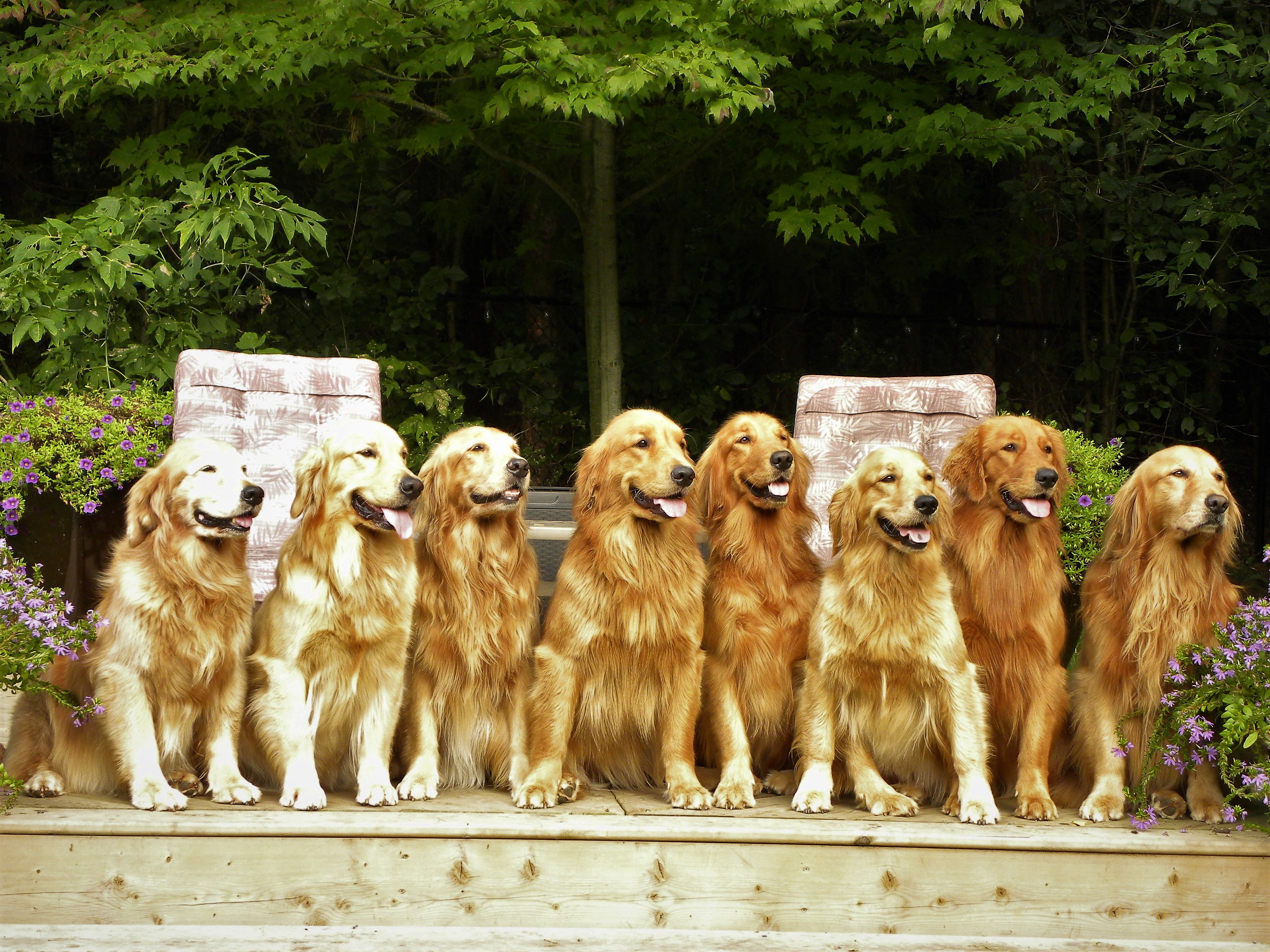 family September 2018 (8)