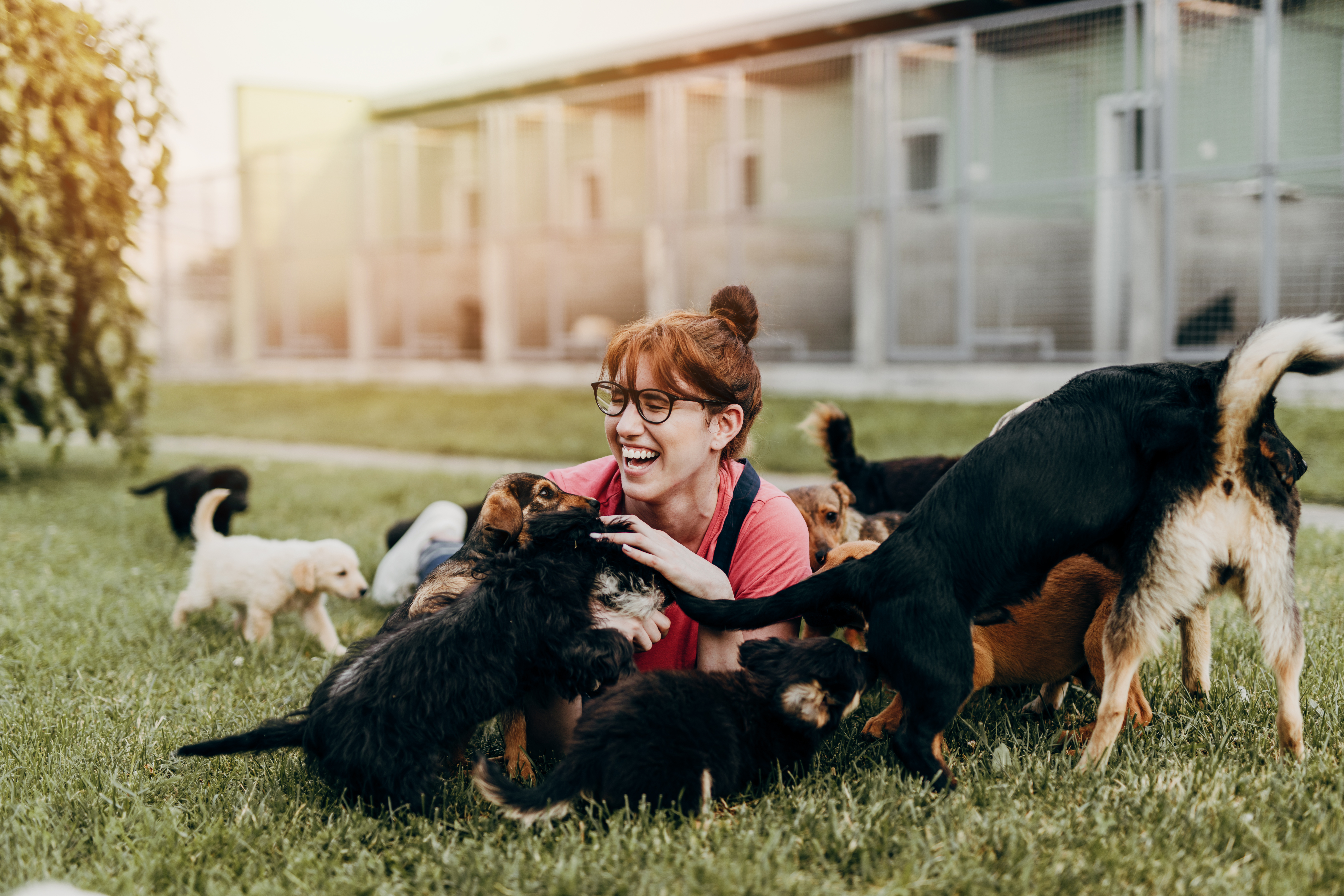 Women surrounded by shelter dogs