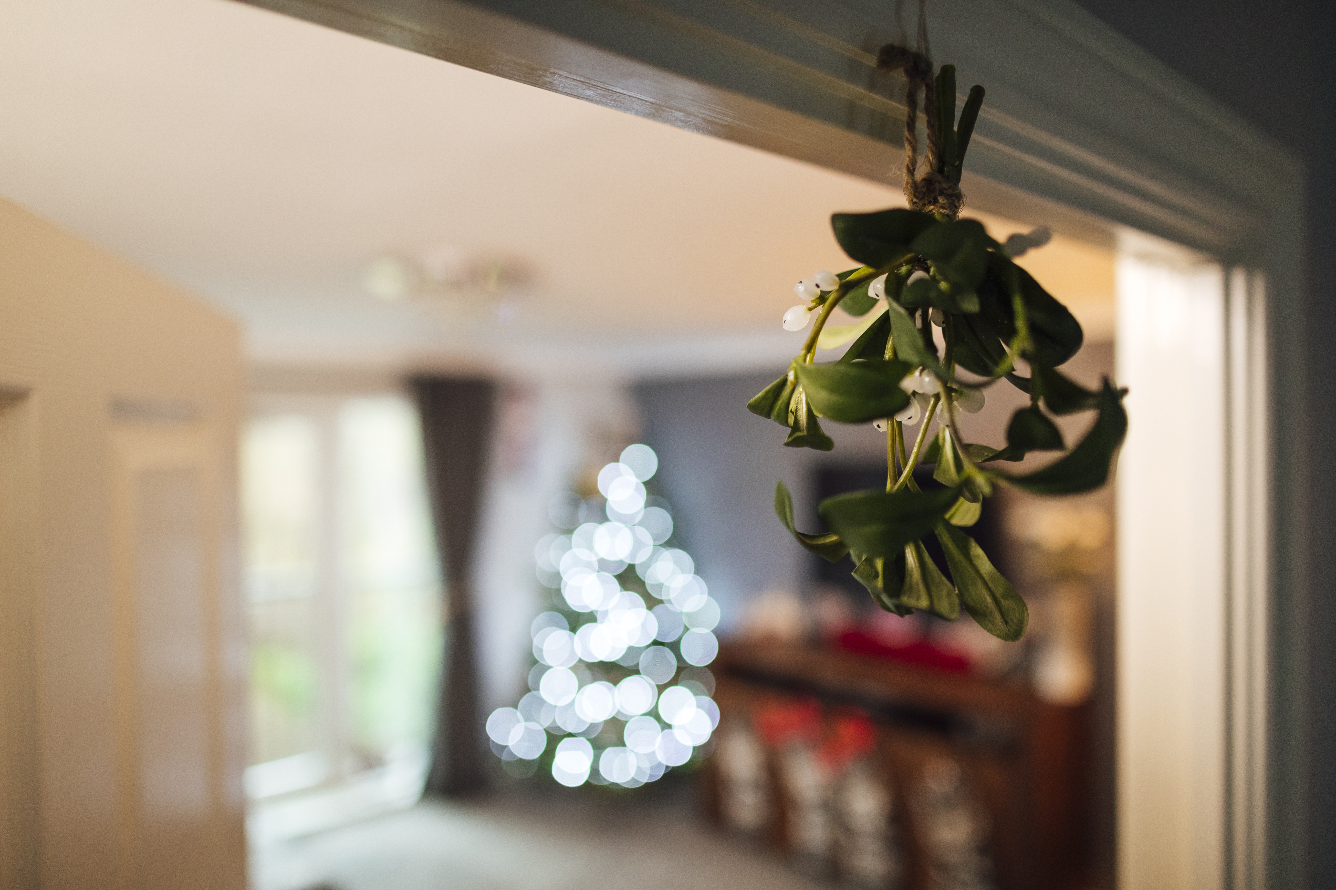 A close-up of mistletoe hanging up on a door frame in a house. The Christmas tree is lit up in the background, out of focus.