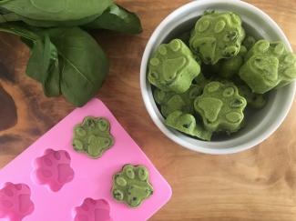 Healthy homemade dog and cat treats