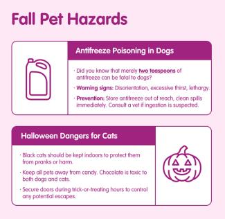 Infographic Fall Pet Hazards