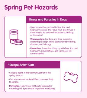 Infographic Spring Pet Hazards