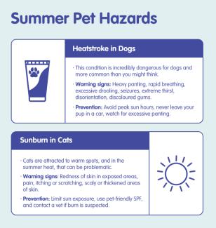 Infographic Summer Pet Hazards