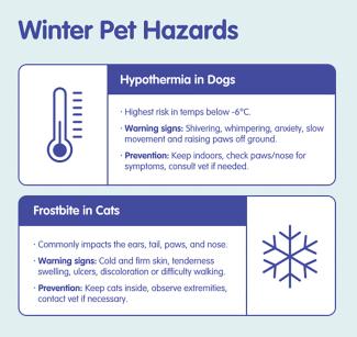 Infographic Winter Pet Hazards