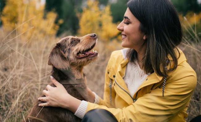 Pesit Owner How to Be a Responsible Pet Owner | Pets Plus Us