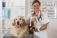 Veterinarian with a dog and cat