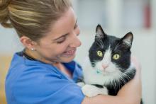 Female veterinarian holding a black and white cat in her arms