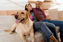 Couple sitting on couch with dog surrounded by moving boxes