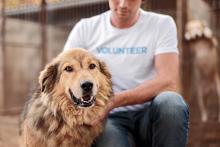 volunteer petting a happy dog