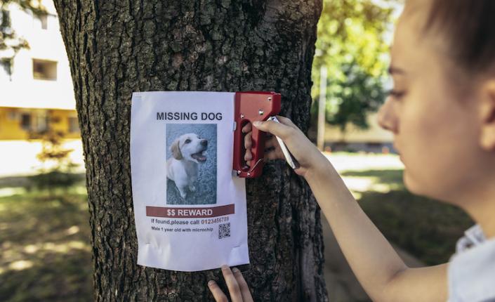 Teenage girl pasting posters of the missing dog