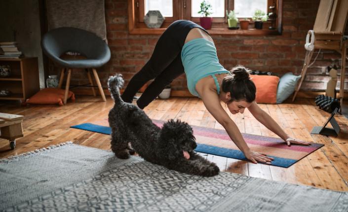 Young woman practicing downward facing dog pose playing with her pet in the living room