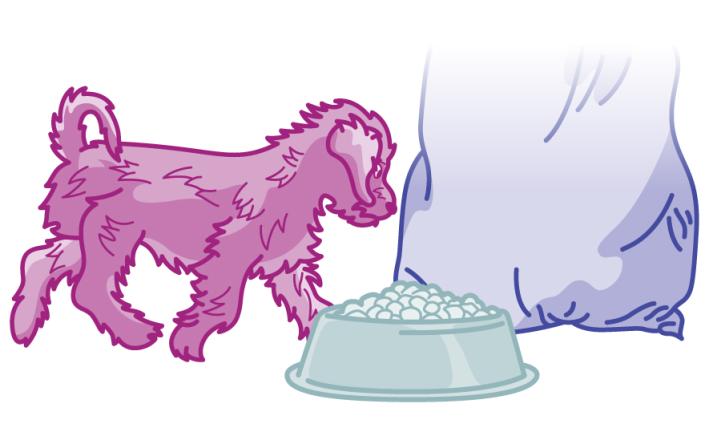 An illustration of a goldendoodle puppy