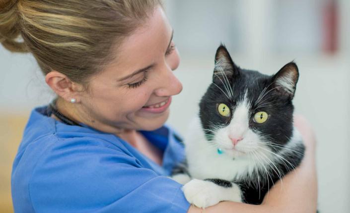Female veterinarian holding a black and white cat in her arms