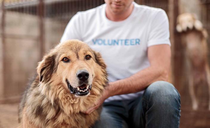 volunteer petting a happy dog