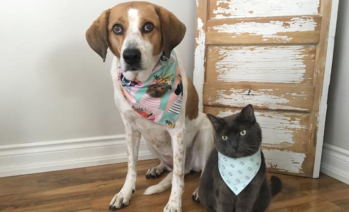 Homemade bandana for dog and cat
