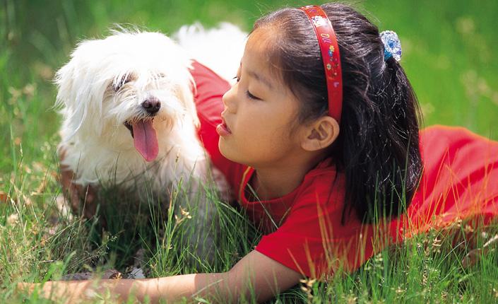 fille avec un chien dans l'herbe