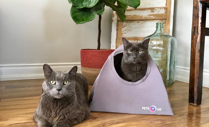 Pet DIY - Finished cat tent