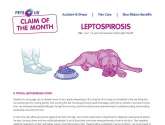 Claim on the Month Illustration - Leptospirosis