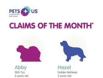 Infographic - Claims of the Month