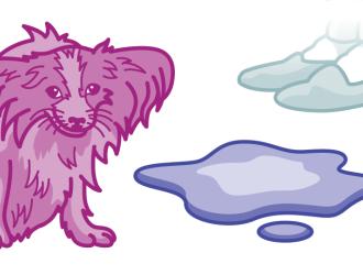 Illustration dog with bladder issues