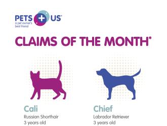 Claims of the Month Illustration